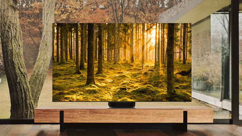 تلویزیون سامسونگ 65QN900B سایز 65 اینچ